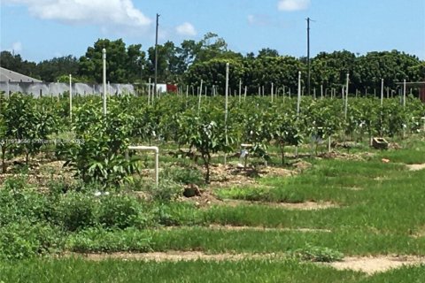 Immobilier commercial à Homestead, Floride № 2082226