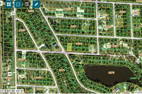 Land in Punta Gorda, Florida № 2219444 - photo 2