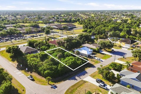 Land in Rotonda, Florida № 2166179 - photo 10