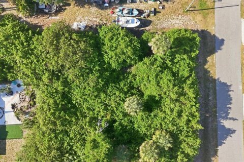 Land in Rotonda, Florida № 2166179 - photo 13