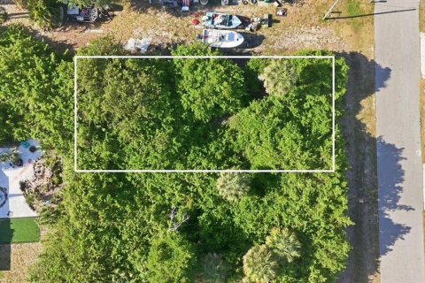 Land in Rotonda, Florida № 2166179 - photo 12