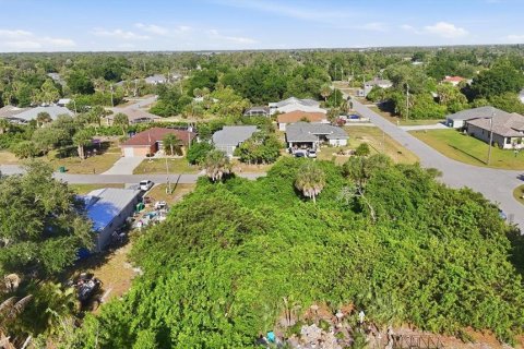 Land in Rotonda, Florida № 2166179 - photo 8