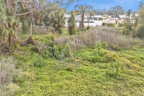 Land in Englewood, Florida № 1539915 - photo 7