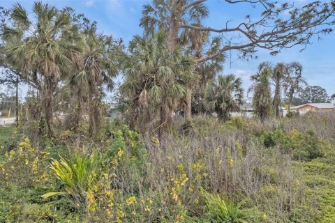Land in Englewood, Florida № 1539915 - photo 4