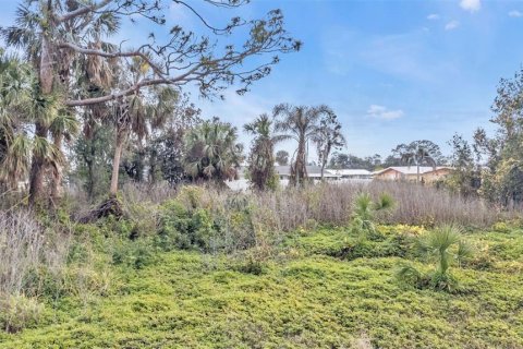 Land in Englewood, Florida № 1539915 - photo 6