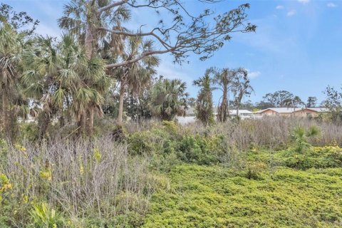 Land in Englewood, Florida № 1539915 - photo 5