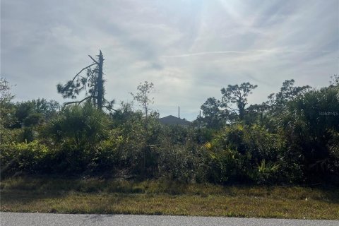 Land in Port Charlotte, Florida № 2162712
