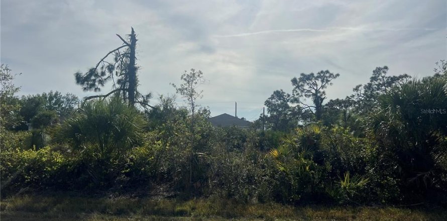 Land in Port Charlotte, Florida № 2162712