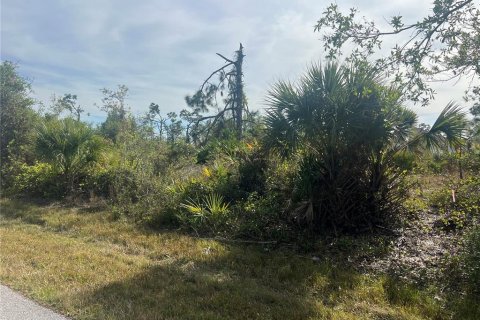 Land in Port Charlotte, Florida № 2162712 - photo 3