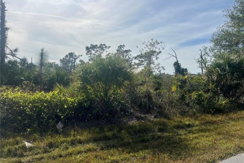 Land in Port Charlotte, Florida № 2162712 - photo 2