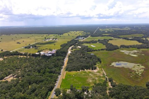 Terreno en venta en Dunnellon, Florida № 1901115 - foto 22