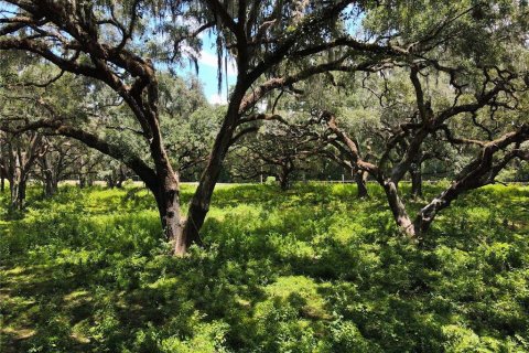 Terreno en venta en Dunnellon, Florida № 1901115 - foto 25