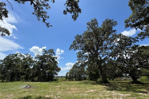 Terreno en venta en Dunnellon, Florida № 1901115 - foto 9