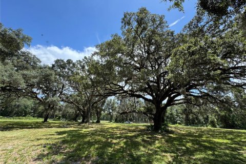 Terreno en venta en Dunnellon, Florida № 1901115 - foto 8