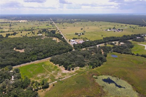 Terreno en venta en Dunnellon, Florida № 1901115 - foto 21