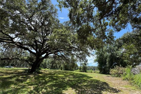 Terreno en venta en Dunnellon, Florida № 1901115 - foto 7