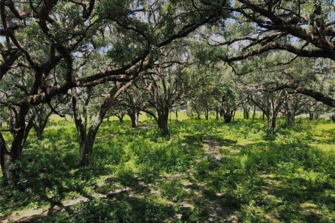 Terreno en venta en Dunnellon, Florida № 1901115 - foto 26