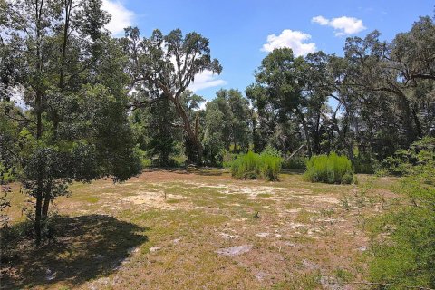Terreno en venta en Dunnellon, Florida № 1901115 - foto 28