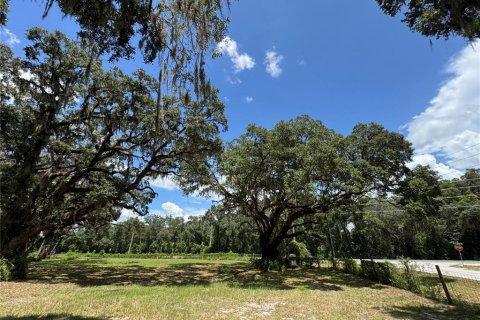 Terreno en venta en Dunnellon, Florida № 1901115 - foto 12