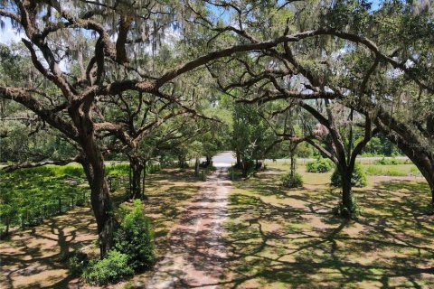 Terreno en venta en Dunnellon, Florida № 1901115 - foto 27