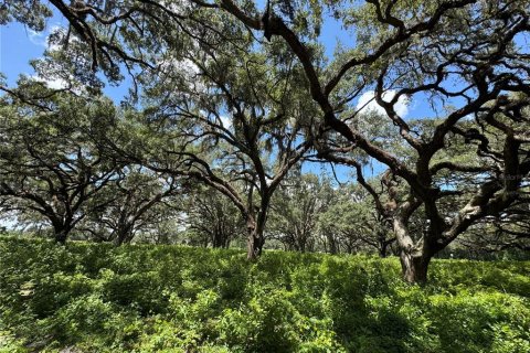 Terreno en venta en Dunnellon, Florida № 1901115 - foto 11