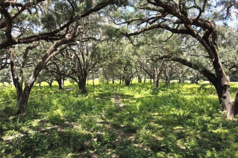Terreno en venta en Dunnellon, Florida № 1901115 - foto 24