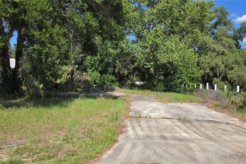 Terreno en Crystal River, Florida № 2164792
