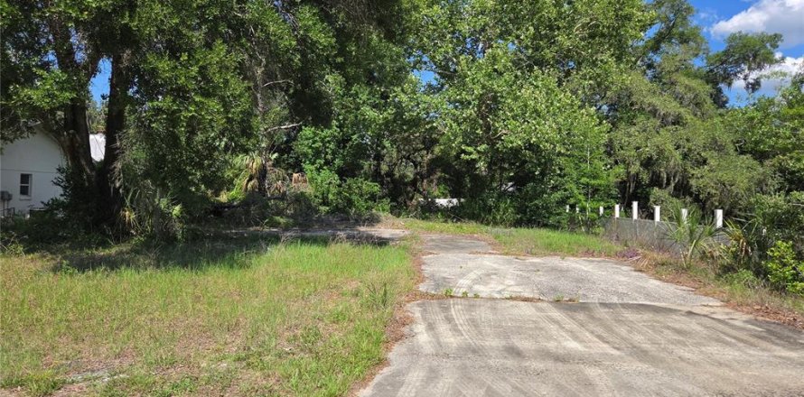 Terreno en Crystal River, Florida № 2164792