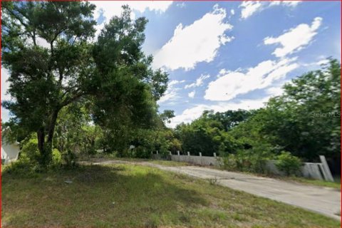 Terreno en venta en Crystal River, Florida № 2164792 - foto 4