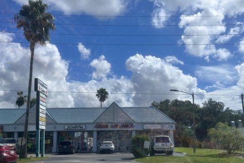 Commercial property in Kissimmee, Florida 111.48 sq.m. № 2213635 - photo 7