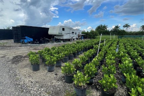 Commercial property in Homestead, Florida № 1957669 - photo 4