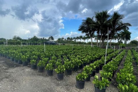 Commercial property in Homestead, Florida № 1957669 - photo 1