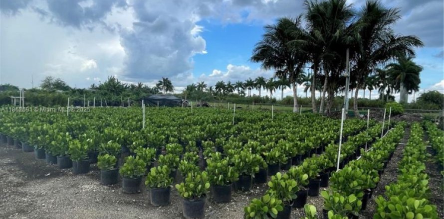 Commercial property in Homestead, Florida № 1957669