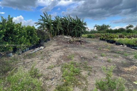 Commercial property in Homestead, Florida № 1957669 - photo 5