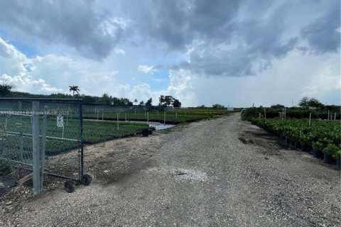 Commercial property in Homestead, Florida № 1957669 - photo 2