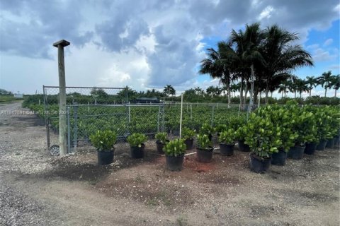 Commercial property in Homestead, Florida № 1957669 - photo 3