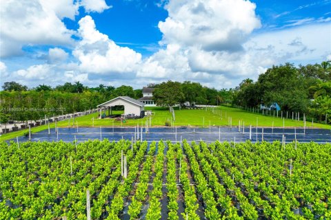 Immobilier commercial à vendre à Homestead, Floride № 1957310 - photo 2