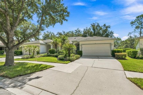 Villa ou maison à Tampa, Floride 2 chambres, 159.51 m2 № 2342126
