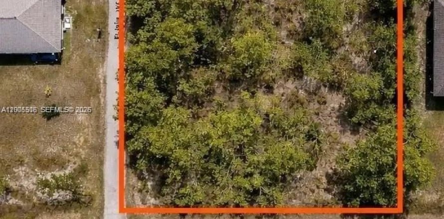 Propiedad comercial en Lehigh Acres, Florida № 2158380