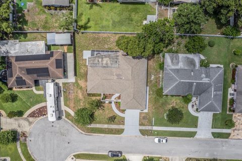 House in Palm Harbor, Florida 2 bedrooms, 151.99 sq.m. № 1777507 - photo 28