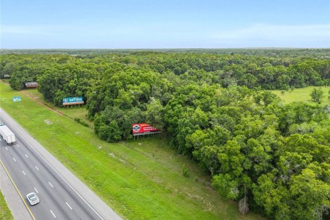 Land in Ocala, Florida № 1796097 - photo 5