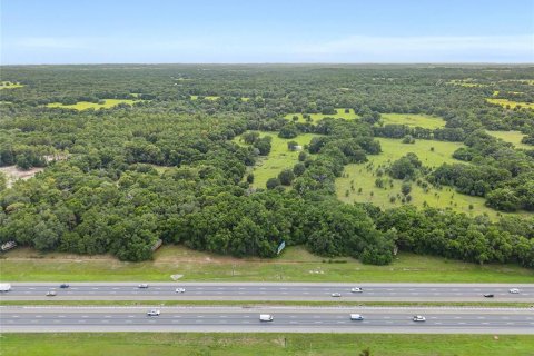 Land in Ocala, Florida № 1796097 - photo 16