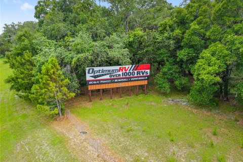 Land in Ocala, Florida № 1796097 - photo 8