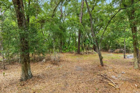 Land in Ocala, Florida № 1796097 - photo 15