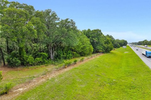Land in Ocala, Florida № 1796097 - photo 12