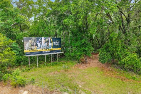 Land in Ocala, Florida № 1796097 - photo 13