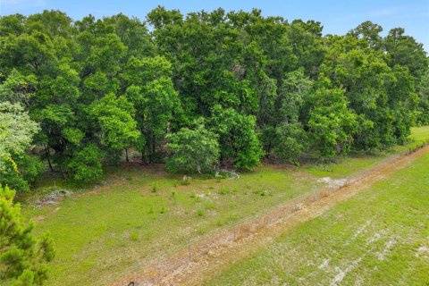 Land in Ocala, Florida № 1796097 - photo 10
