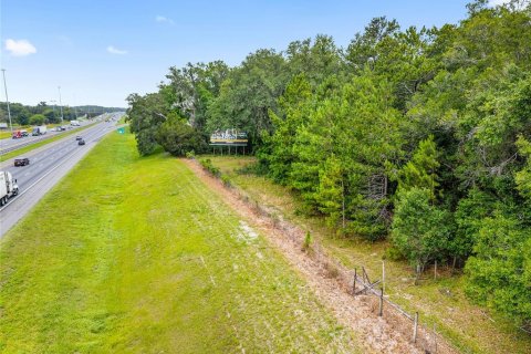 Land in Ocala, Florida № 1796097 - photo 9