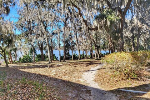 Copropriété à vendre à Gainesville, Floride: 1 chambre, 74.97 m2 № 2098992 - photo 19