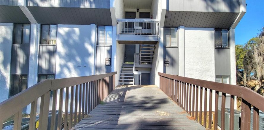 Condo à Gainesville, Floride, 1 chambre  № 2098992
